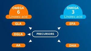 Omega-3 Polyunsaturated Fatty Acids