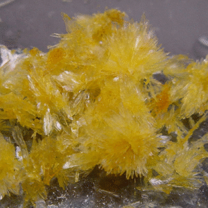 DMT (Dimethyltryptamine) Crystal