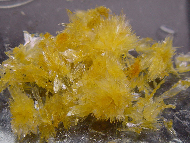 DMT (Dimethyltryptamine) Crystal